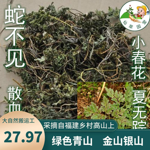 仙草园堂蛇不见福建宁德周宁土特产福安寿宁散血叶小春花中青草干