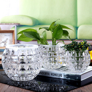 铜钱草花瓶摆件玻璃客厅北欧透明小多肉红掌绿萝插花餐桌水养花盆