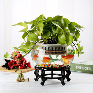 盆景热带鱼缸小型创意桌面家用办公桌圆形扁鼓乌龟缸摆件装饰水族