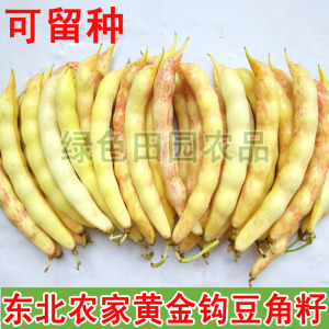 东北农家菜园弯勾黄油豆角籽 散装精选可留种黄金钩豆角籽50g