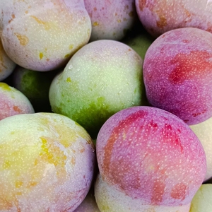 云南绥江特产半边红李子