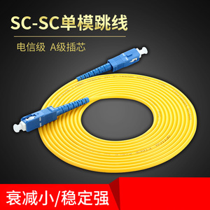 淘淘牵光纤跳线SC-SC单模短跳线1/2/3米网络级尾纤跳线光线5/10米