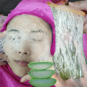 芦荟灌肤美容院专用纯天然植物小盆栽美容可敷脸补水新鲜叶子灌肤