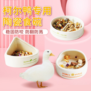 科尔鸭喂食器陶瓷水壶专用饲料盒仓鼠兔子荷兰猪刺猬食盆食槽食罐