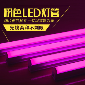 led灯管粉红色日光灯卧室情趣调情一体彩色T5T8氛围灯条长条光管