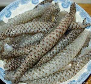 冷冻生鱼皮