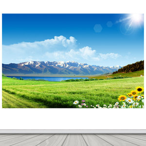 蓝天阳光草原风景画墙贴大自然高山花朵草地山水画沙发客厅装饰画