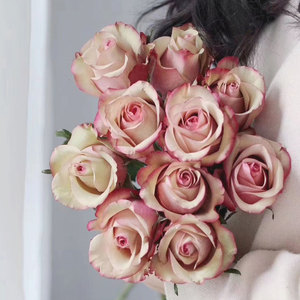 复古色翡翠玫瑰鲜花云南昆明斗南花市基地鲜花速递家庭办公室水养