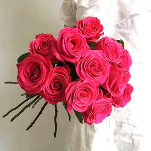 弗洛伊德玫瑰大桃红大花头稀有玫瑰家庭插花云南斗南鲜花基地直发