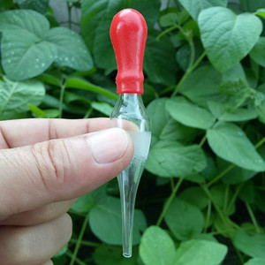 胶头滴管 吸管 配红皮头 配滴瓶滴管 白色 棕色30ml 60ml 125ml