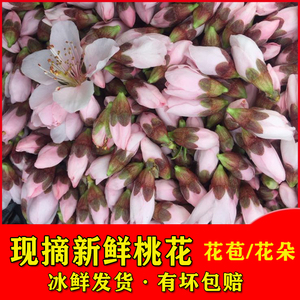 现摘新鲜桃花食用水蜜桃花蕾花苞花朵瓣500克做纯露酵素泡桃花酒