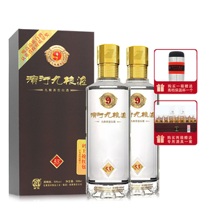 甘肃张掖酒滨河九粮液53度500ml*2瓶九粮香型白酒礼盒装送礼酒_阿里巴