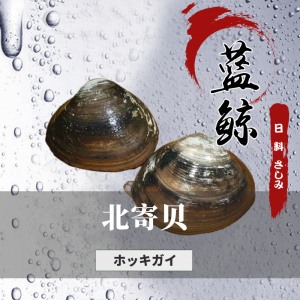 【北寄贝】海鲜日料刺身寿司生鱼片深海鲜活海捕冰鲜新鲜北极贝