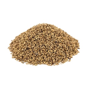 005人付款淘宝celery seed whole 芹菜种子 芹菜籽50g芹菜子旱芹种子