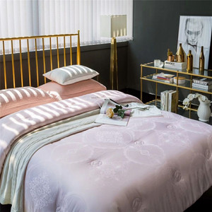 冬天被子被芯冬被全棉纯棉双人加厚保暖秋冬季8斤9斤10斤大豆纤维