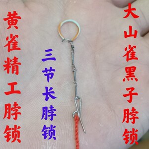 黄雀鸟脖锁 黄鸟脖锁  黄巧脖套 黄雀脖套 黑子脖锁 大山雀脖锁