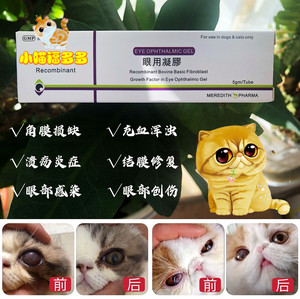 00永升宠物用品专营店天猫舒酶捷眼用凝胶狗狗猫咪眼药水结膜炎角膜