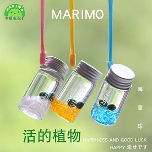 marimo幸福海藻球随身瓶创意礼物迷你绿植水培微景观生态瓶小生物