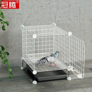 单个鸽子笼小型家养独立鸽舍室内阳台多功能配对养殖训放繁殖鸽棚