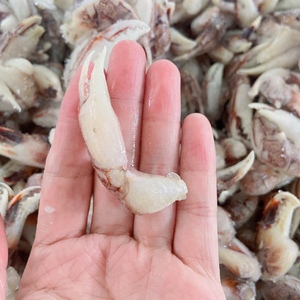 沙蟹钳鲜活水产新鲜冷冻整箱6斤 毛蟹脚石蟹脚饭店商用蟹钳肉