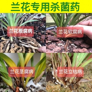 恶霉灵杀菌剂兰草土壤消毒多肉烂根黑腐病黑斑病兰花根腐病专用药