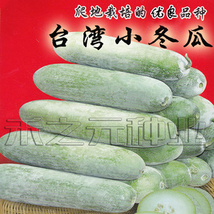 台湾小冬瓜种子粉皮蔬菜迷你冬瓜种籽水果四季盆栽春季播蔬菜种孑