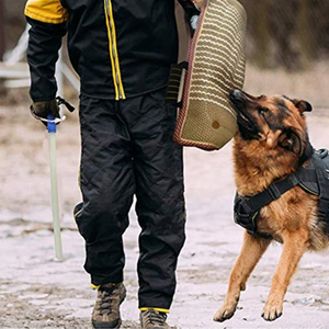 00a499959396淘宝马犬德牧咬靶狗护具守护犬具工作犬训练扑咬袖成犬