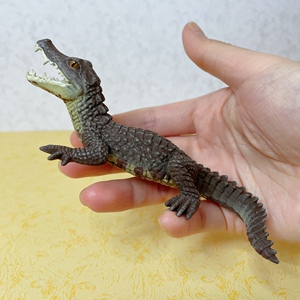 safari凯门鳄 鳄鱼 仿真动物模型早教儿童认知玩具小摆件爬行场景