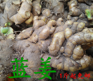 蓝姜现挖野生新鲜蓝姜正宗黑姜痛经乌姜绿姜黑姜乌姜黑心姜包邮