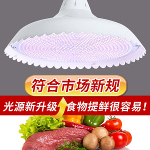新疆包邮新国标白光led生鲜灯猪肉灯熟食灯水果蔬菜灯肉类卤菜灯