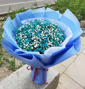 蓝色满天星花束杭州鲜花同城速递北京深圳上海合肥生日花店送花