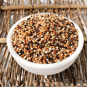 五色黍子谷子虎皮牡丹玄凤中小型鹦鹉文鸟玉鸟粮鸟食饲料50斤一袋