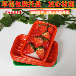 一次性奶油草莓托盘红绿黄色水果打包盒防震海绵垫高档塑料包装盒