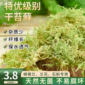 干苔藓水苔蝴蝶兰花专用营养土植物爬宠乌龟冬眠垫材铁皮石斛种植