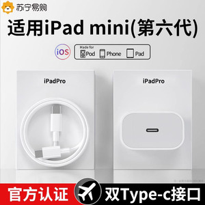 2022年新款适用苹果iPad mini6充电器第六代平板电脑双Typec数据线官方30W插头PD20W套装正品电源适配器1351