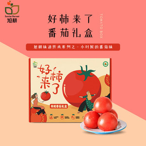 旭耕有机番茄礼盒12枚 新鲜西红柿沙瓤酸甜可口顺丰包邮