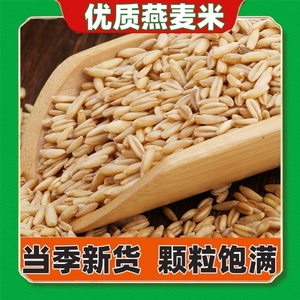 新货燕麦米雀麦九色糙米八宝粥原料膳食粥燕麦米新米五谷杂粮