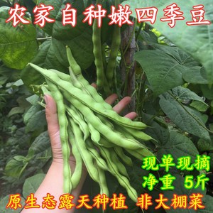 重庆应季绿色蔬菜四季豆农家自种豆角新鲜脆嫩 现摘长豆5斤包邮