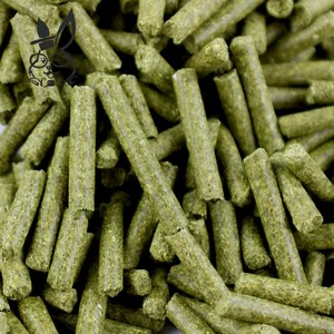 买1送3零食包邮 中澳配方兔粮2.5kg 成兔幼兔主粮兔子饲料 兔粮