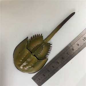 日版散货多美仿真中华鲎模型马蹄蟹动物海洋生物水族装饰玩具现货