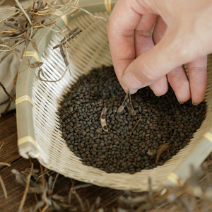 云记丨药典小黑豆350g 黄河滩野生盐碱地黄心劳豆 药用煲汤打豆浆