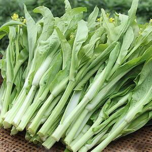 【湖北特产苔菜】湖北特产苔菜品牌,价格 - 阿里巴巴