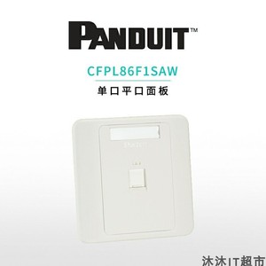 泛达PANDUIT单口双口网络信息平口面板 RJ45超五类六类千兆模块