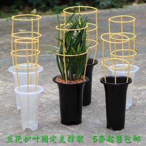 兰花护叶支架多层双层园艺花架植物爬藤架子蟹爪兰防倒护叶支撑架