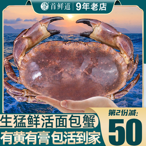 【保活】面包蟹鲜活超大黄金蟹母蟹鲜活帝王蟹新鲜海螃蟹特大水产