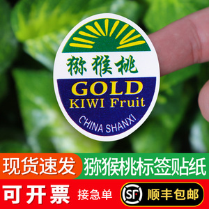 黄心猕猴桃商标签贴纸不干胶金艳黄金果金桃阳光建香江山陕西176