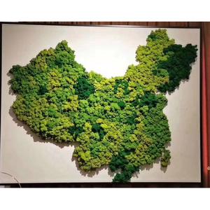 永生苔藓进口多肉绿植装饰苔藓微景观DIY世界地图苔藓背景墙
