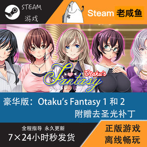 steam正版/otakus fantasy/去圣光补丁/宅男的幻想/离线/pc游戏