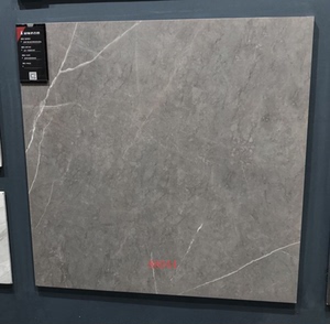 冠珠陶瓷砖客厅柔光地砖88305 88306 88043 88044房间阳台卫生间