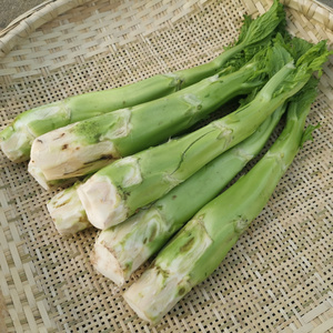 菜苔安徽六安霍山农家自种腊苔菜时令新鲜蔬菜菜苔下单现铲农家菜